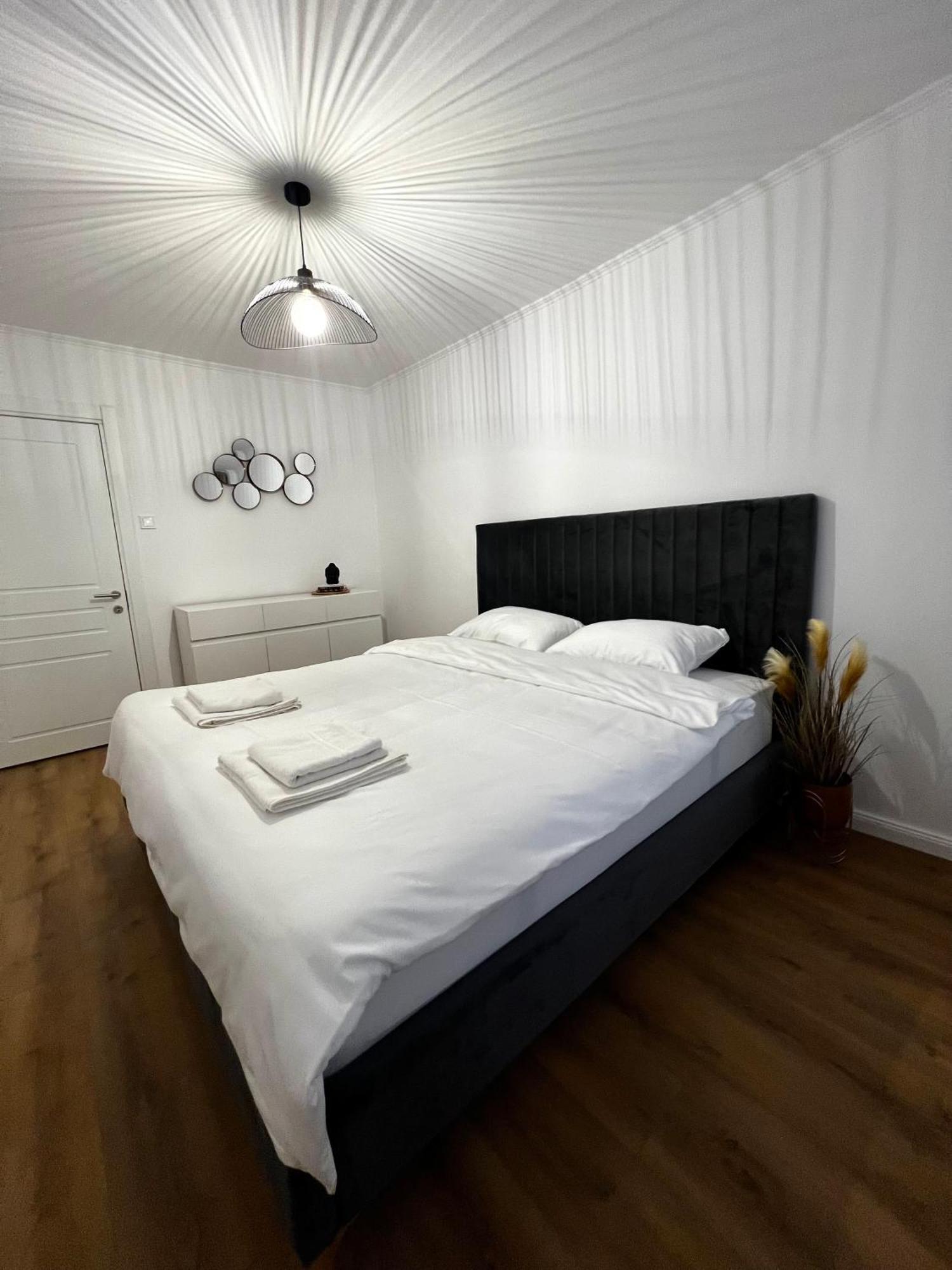 Transylvania Central Apartment Κλουζ-Ναπόκα Εξωτερικό φωτογραφία