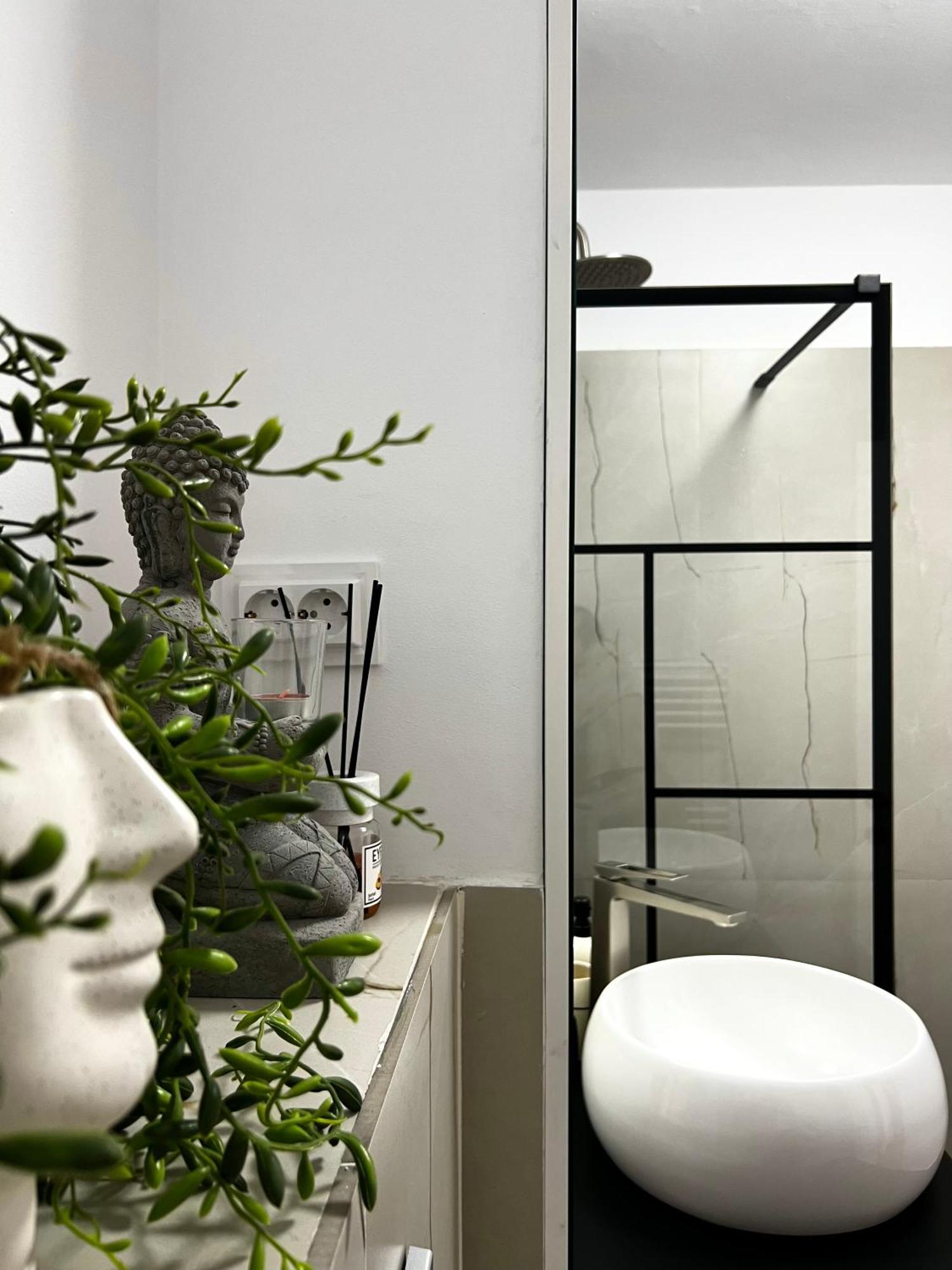 Transylvania Central Apartment Κλουζ-Ναπόκα Εξωτερικό φωτογραφία