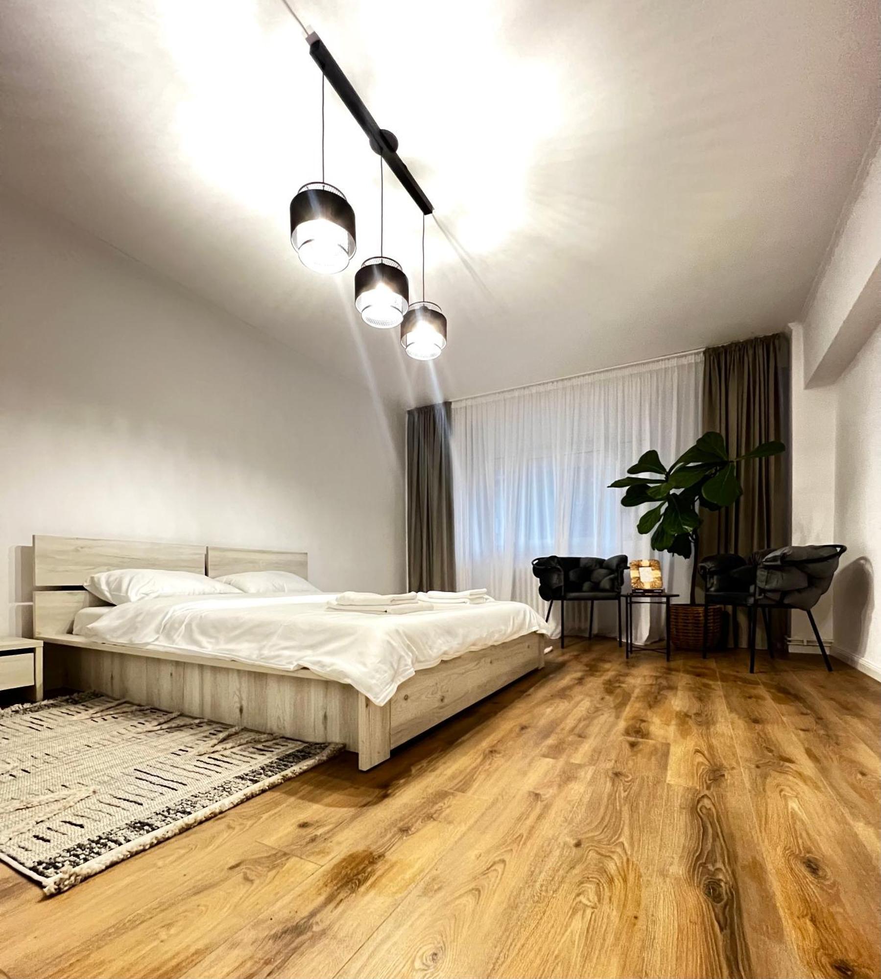 Transylvania Central Apartment Κλουζ-Ναπόκα Εξωτερικό φωτογραφία